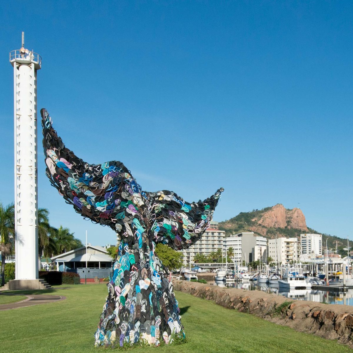 Townsville Whale Tail