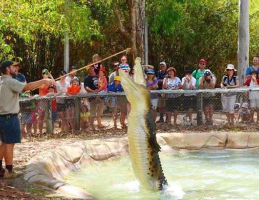 Billabong Sanctuary