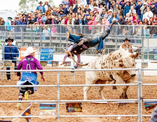 The image of the bull riders