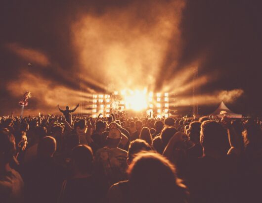 The image of the crowd at the concert